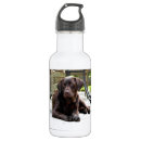 Pesquisar por labrador garrafa agua Filhote de cachorro