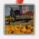 Pesquisar por agrícola ornamentos Outono