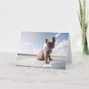 Pesquisar por french bulldog cartoes Animal