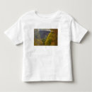 Pesquisar por desfiladeiro camisetas Virgínia ocidental