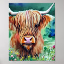 Pesquisar por vaca com chifres pôsteres pósteres Natureza