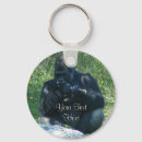 Pesquisar por do primata chaveiros Gorila