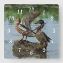 Pesquisar por pato selvagem relogios de parede Qualquer pessoa