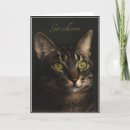 Pesquisar por gatinho melhoras cartoes Gata