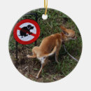Pesquisar por proibido ornamentos Fofo