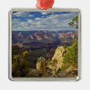 Pesquisar por erosão ornamentos Paisagem