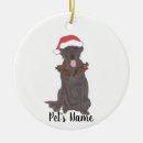 Pesquisar por castanho chocolate ornamentos Labrador