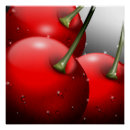 Pesquisar por da cereja pósteres Cerejas