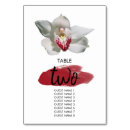 Pesquisar por orquídeas Para todos