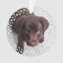 Pesquisar por holiday redondos ornamentos Para pets