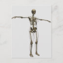 Pesquisar por crânio humano cartoes postais Trabalho de arte