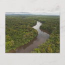 Pesquisar por guiana cartoes postais Árvore