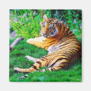 Pesquisar por flores pintadas imas Natureza
