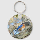 Pesquisar por bluebird porta chaves Para todos