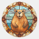 Pesquisar por capivara Fofo