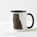 Pesquisar por dobra do scottish Felino