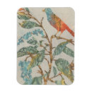 Pesquisar por aviário imas Animal