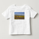 Pesquisar por exercício crianças camisetas Montanha