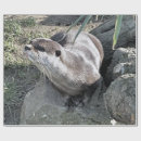 Pesquisar por curto papel de presente Animais