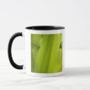 Pesquisar por molhado canecas Natureza