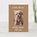 Pesquisar por irmã adulta cartoes Adulto