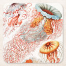 Pesquisar por da biologia porta copos Ernst haeckel
