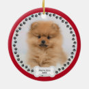 Pesquisar por pet photo ornamentos Fofofo
