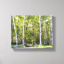 Pesquisar por birch tree pôsteres pósteres Pássaro