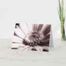 Pesquisar por mono cartoes Fotografia