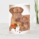 Pesquisar por mastiff cartoes Mãe