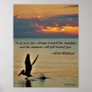 Pesquisar por pelicanos pôsteres pósteres Aves