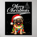 Pesquisar por pug engraçado pósteres Cachorro