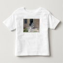 Pesquisar por destruição camisetas Iraque