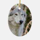 Pesquisar por lobo ornamentos Natureza
