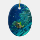Pesquisar por peixes ornamentos Para ela