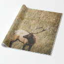 Pesquisar por cerveja papel de presente Cervo