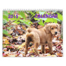 Pesquisar por filhotes de cachorro calendarios Retriever