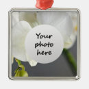 Pesquisar por flor da orquídea ornamentos Planta