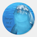 Pesquisar por viajante imas Inspiração