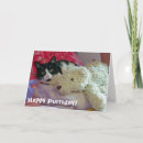 Pesquisar por charada cartoes Gato