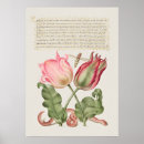 Pesquisar por botanical pôsteres pósteres Botânica