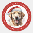 Pesquisar por labrador adesivos Natal