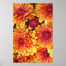 Pesquisar por teste padrão de flor pósteres Quadro