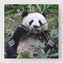Pesquisar por gigante relogios de parede Urso panda