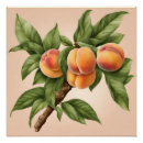 Pesquisar por fruta vintage pôsteres pósteres Qualquer pessoa
