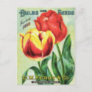 Pesquisar por tulipa amarela e vermelha cartoes postais Tulipas vermelhas