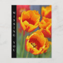 Pesquisar por tulipa amarela e vermelha cartoes postais Amarelo