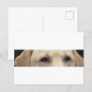 Pesquisar por golfe cartoes postais Dia de os pais