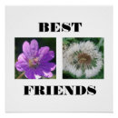 Pesquisar por imagens pôsteres pósteres Natureza