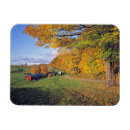 Pesquisar por vermont imas Natureza